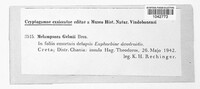 Melampsora euphorbiae image